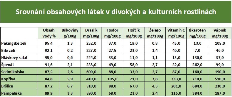 srovnani_divoke_kulturni_bylinky2